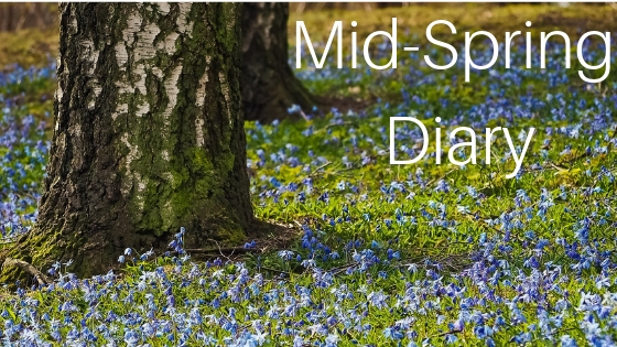 Mid-Spring Diary