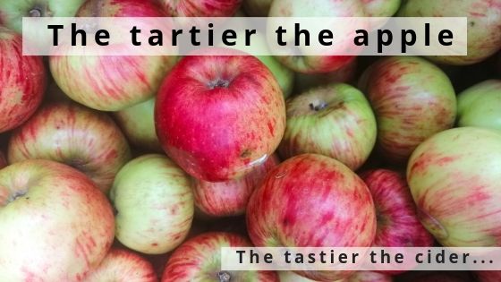 The Tartier The Apple, The Tastier The Cider…